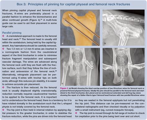 tibial compression test in dogs|femoral head fracture in dogs.